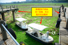 山东寿光：民企老板遭遇“招商引资”后的悲歌