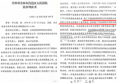 吉林一起拍卖纠纷引发同案不同判审限超期与刑