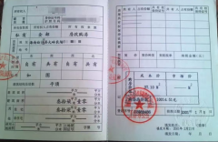 海南一“公章之争”背后：虚假诉讼、假证风波与治理困局